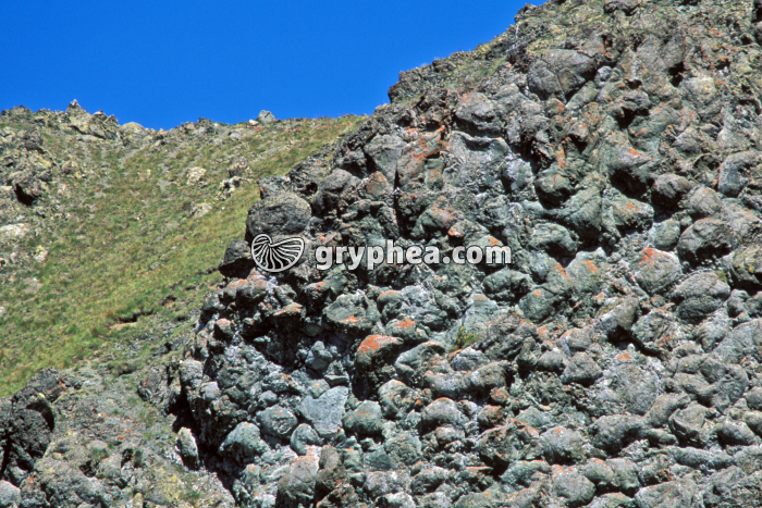 Pillow-lavas Chenaillet - gryphea.com